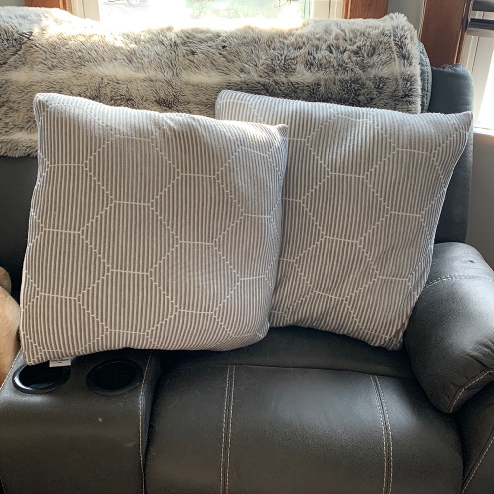 Couch/Bed Throw Pillows